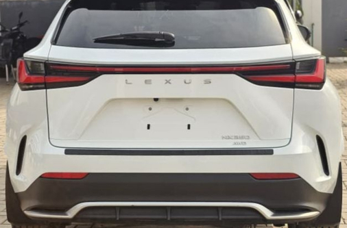 untitled design (17)